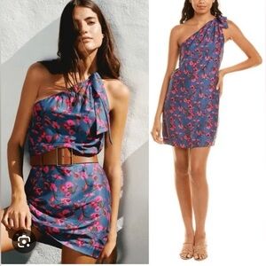 VIX Paula Hermanny Livia Dress,